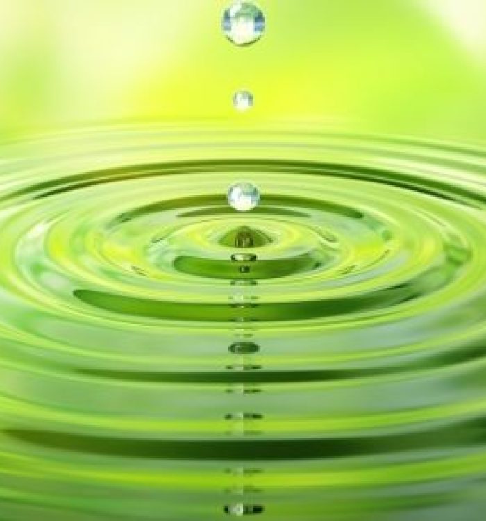 🌿 Quand les larmes précèdent les mots