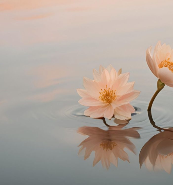 🌟Māyā – L’illusion du monde, le miroir de l’âme