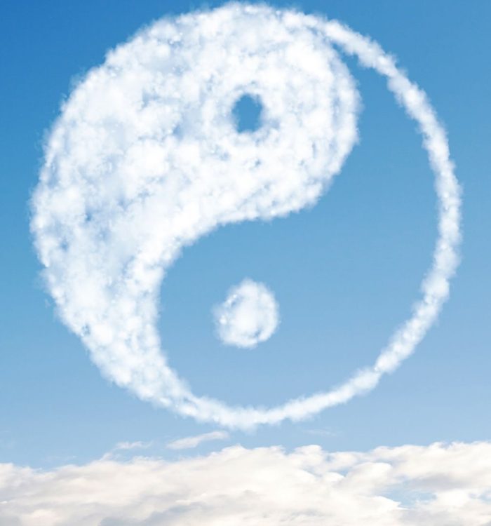Le Yin et le Yang – Les forces opposées mais complémentaires