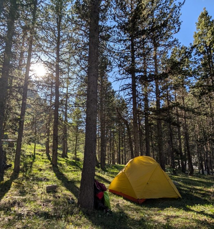 🌿 Lettre entre ciel et soi 🌲Bivouac – Offrande au vivant